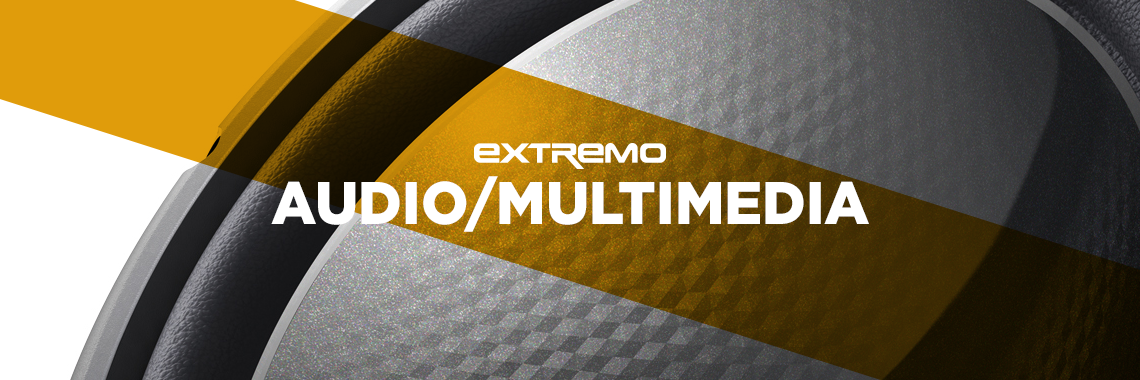 Audio/Multimedia